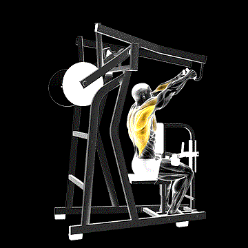 Lever High Row demonstration