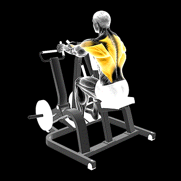 Lever Neutral-Grip Seated Row (Plate Loaded) demonstration
