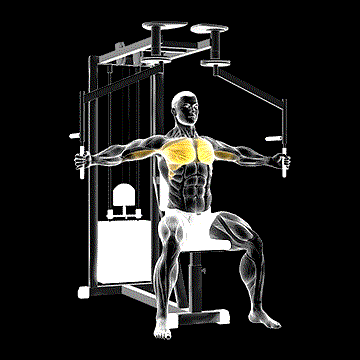 Lever Seated Fly demonstration