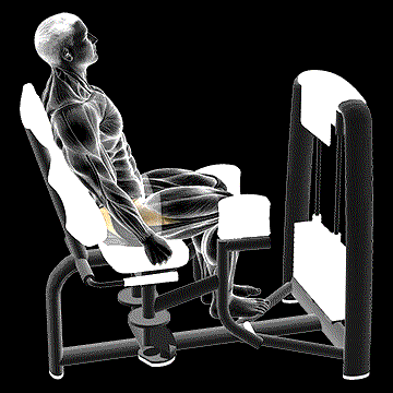Lever Seated Hip Abduction demonstration