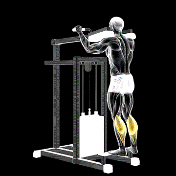 Lever Standing Calf Raise demonstration