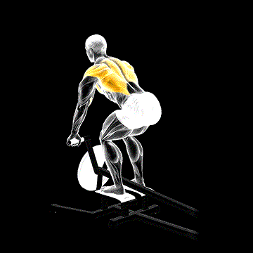 Lever T-Bar Row (Plate Loaded) demonstration