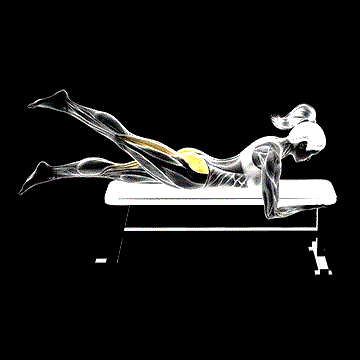 Lying Alternate Hip Extension demonstration