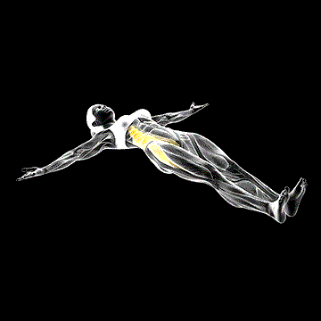 Lying Crossover Stretch demonstration