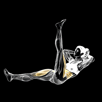Lying Scissor Crunch demonstration