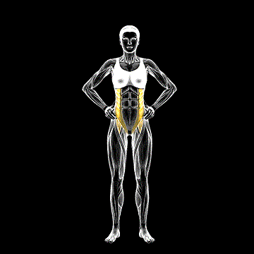 Middle Back Stretch demonstration
