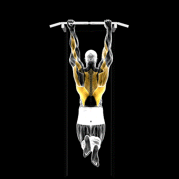 Mixed-Grip Chin-Up demonstration