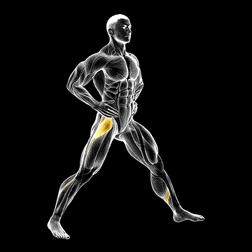 Monster Walk demonstration