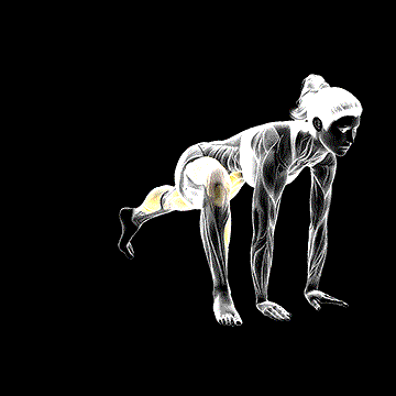 Mountain Climber Lunge demonstration