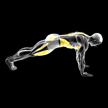 Mountain Climber demonstration