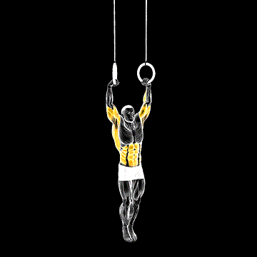 Muscle-Up demonstration