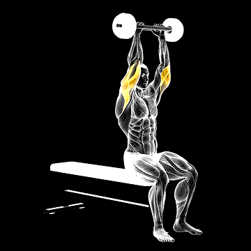 Olympic Barbell Triceps Extension demonstration