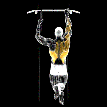One-Arm Chin-Up demonstration