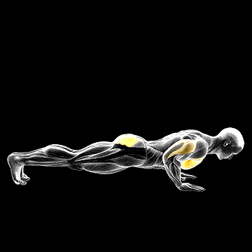 Outside Leg Kick Push-Up demonstration