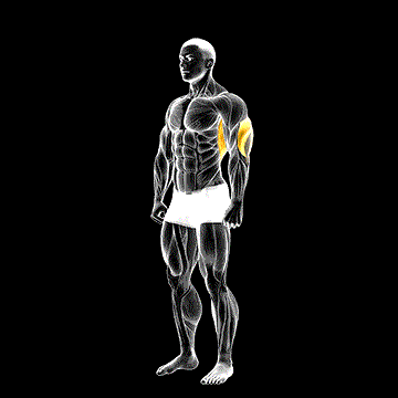 Overhead Triceps Stretch demonstration