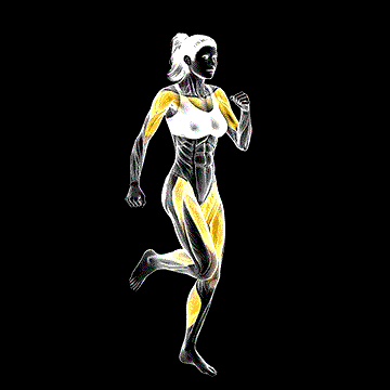 Place Jog demonstration
