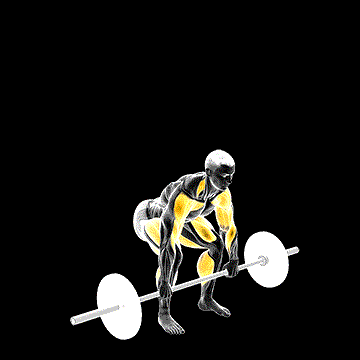 Power Clean demonstration