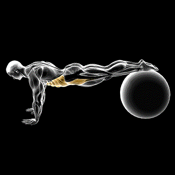 Pull-in (w/ Stability Ball) demonstration