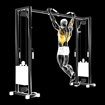 Pull-up (Neutral Grip) demonstration