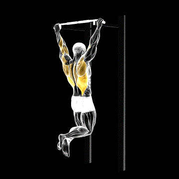 Pull-up demonstration