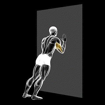 Push-up (Wall) demonstration
