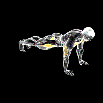Push-up Inside Leg Kick demonstration