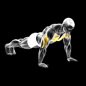Push-up demonstration