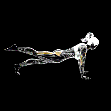 Raise One-Leg Push-Up demonstration