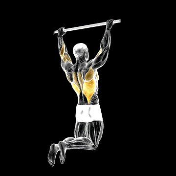 Rear Pull-up demonstration