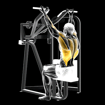 Reverse-Grip Machine Lat Pulldown demonstration