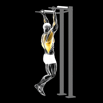 Reverse-Grip Pull-up demonstration