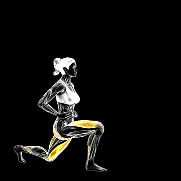 Reverse Lunge (Leg Kick) demonstration