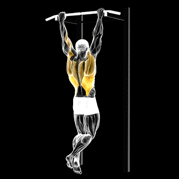 Rocky Pull-up Pulldown demonstration