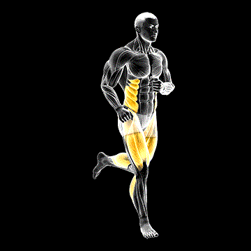 Run demonstration
