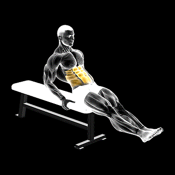 Seated Leg Raise demonstration