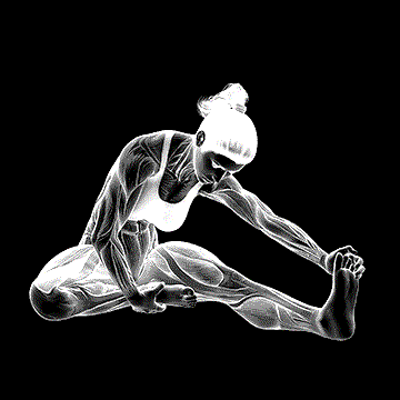 Seated One-Leg Hamstring Stretch demonstration