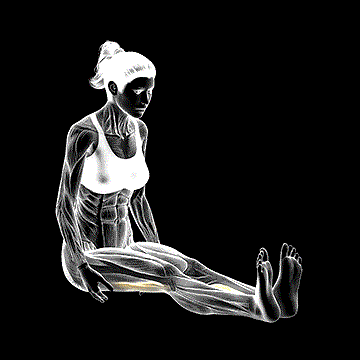 Seated Straight-Leg Calf Stretch demonstration