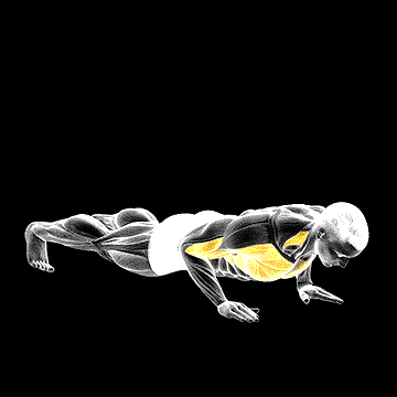 Shoulder Tap Push-up demonstration