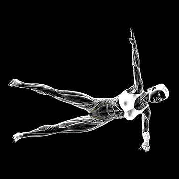 Side Bridge Hip Abduction demonstration