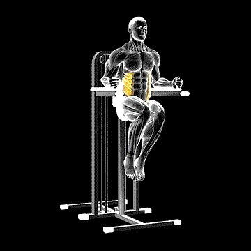 Side Hip (w/ Parallel Bars) demonstration