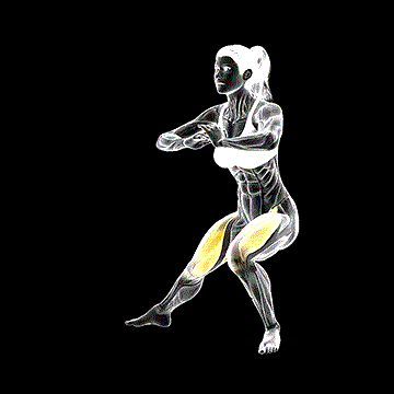 Side Lunge Stretch demonstration