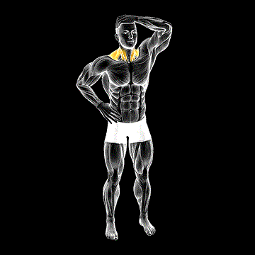 Side Neck Stretch demonstration
