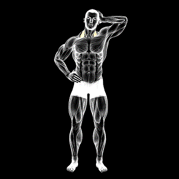 Side Push Neck Stretch demonstration