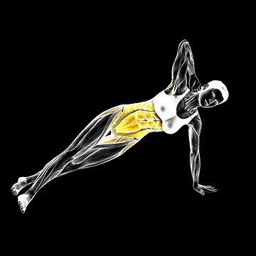 Side-Stretch Crunch demonstration
