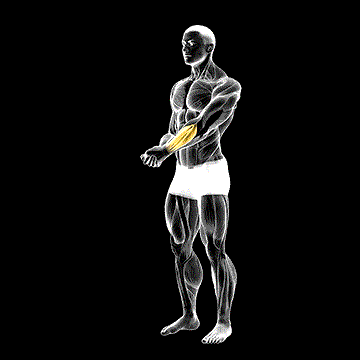 Side Wrist Pull Stretch demonstration