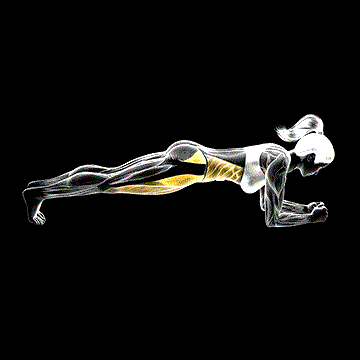 Sideway Leg Bridge demonstration