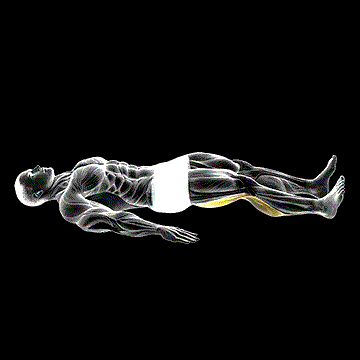 One-Leg Platform Slide demonstration