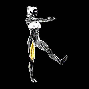 One-Leg Squat (Pistol) demonstration