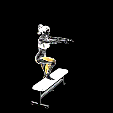 One-Leg Step-Up demonstration