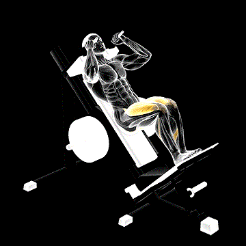 Sled Closer Hack Squat demonstration